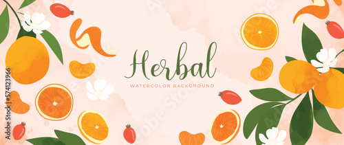 Botanical herbal watercolor background vector. Hand drawn fresh aromatic orange, rosehip, flowers, leaf branch. Natural garden design for wallpaper, cover, advertising, healthcare product, cosmetics.