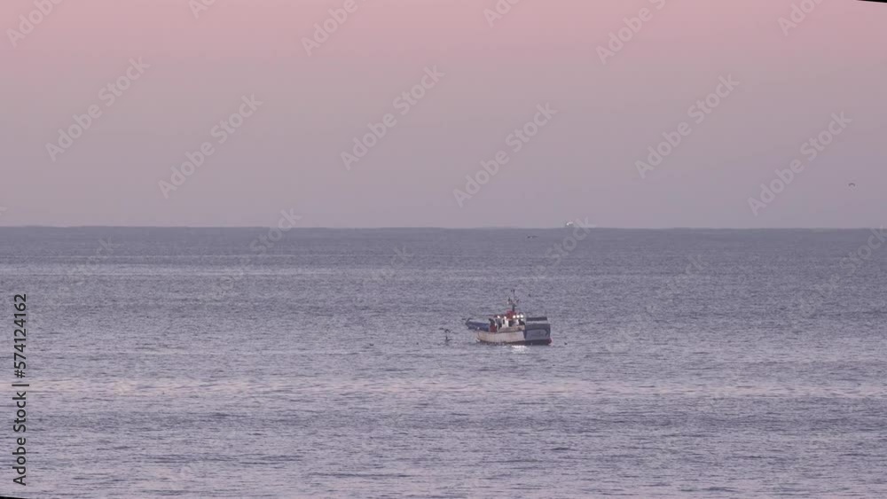 amazing drone shot of fisherman boat with seagulls, seagulls following boat for catching fish on fishing net amazing drone shot of fisherman boat with seagulls, seagulls following boat for catching fish on fishing net