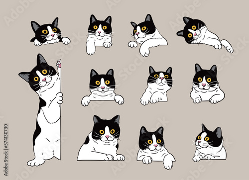 cartoon curious peeking tuxedo cats