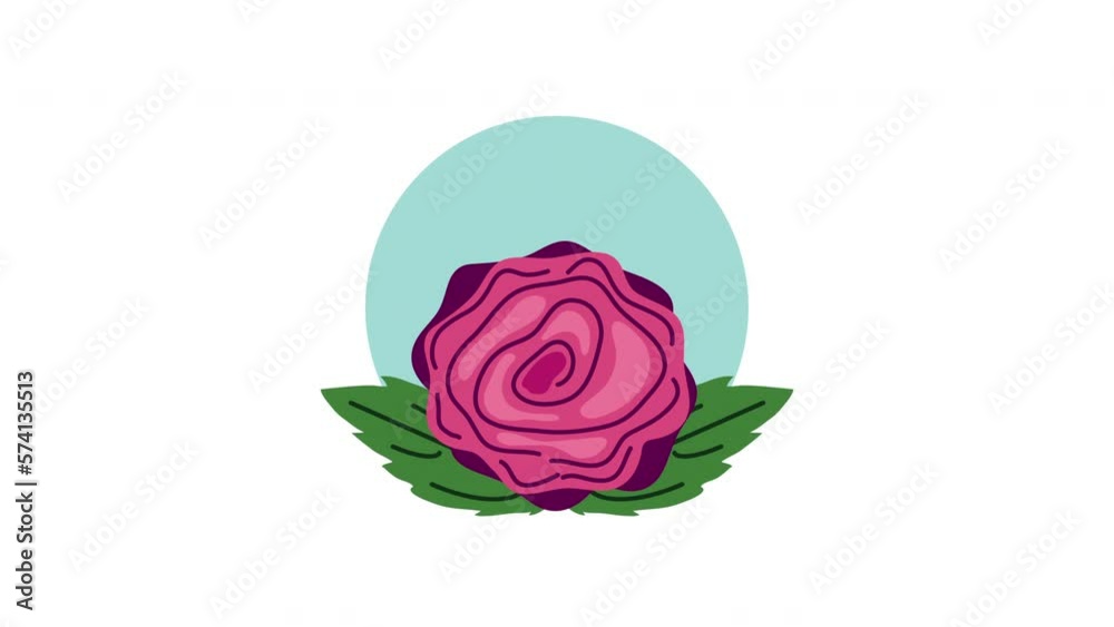 red rose flower nature animation red rose flower nature animation