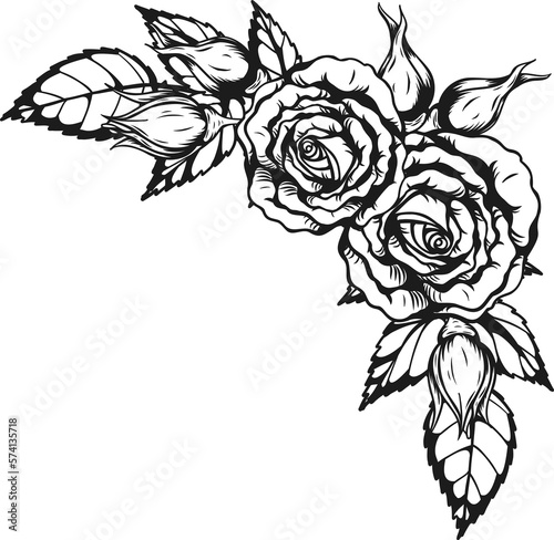 Anne Harkness rose png.Beautiful flower on transparent background.