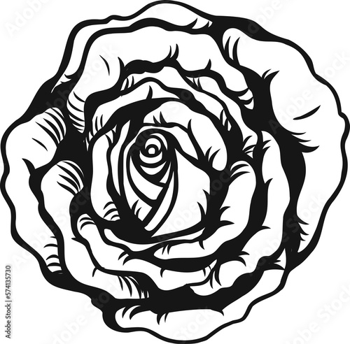 Anne Harkness rose png.Beautiful flower on transparent background.