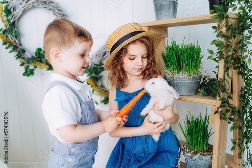 Cute little boy and girl feeding white rabbit carrots indoor learning to take care of an animals.  photo