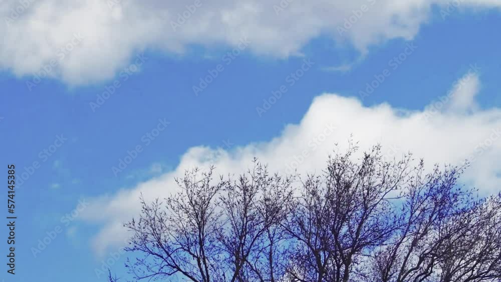 time lapse of fast moving white clouds in the sky over bare trees time lapse of fast moving white clouds in the sky over bare trees