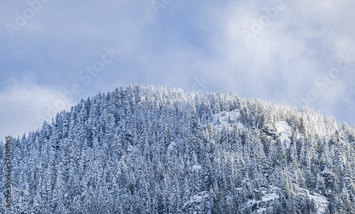 Beautiful winter landscape with snow covered trees. Fantastic winter landscape with spruce forest. Dramatic overcast sky