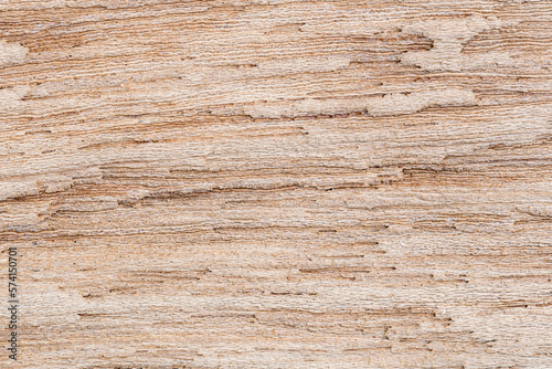 Top view of rotten wooden wall background. Closeup view texture of natural old wood.