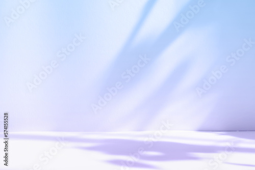Abstract purple studio background for product presentation. Empty room with shadows of window and flowers and palm leaves . 3d room with copy space. Summer concert. Blurred backdrop.