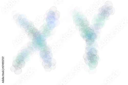 Chromosome X,Y