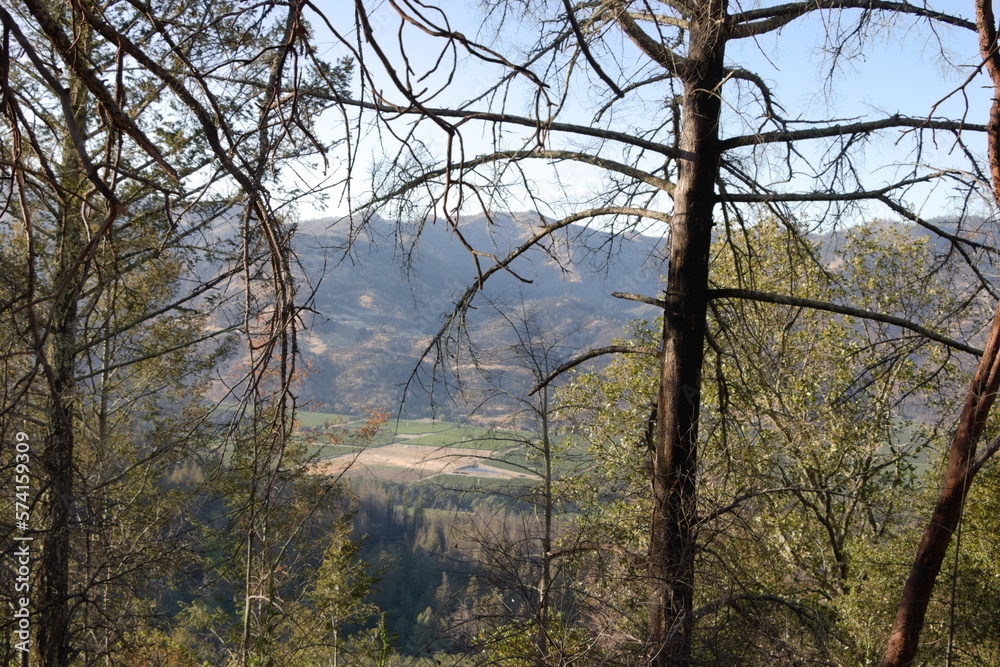 Views of Napa Valley through the forested Coyote Peak in Bothe-Napa Valley State Park, California Views of Napa Valley through the forested Coyote Peak in Bothe-Napa Valley State Park, California