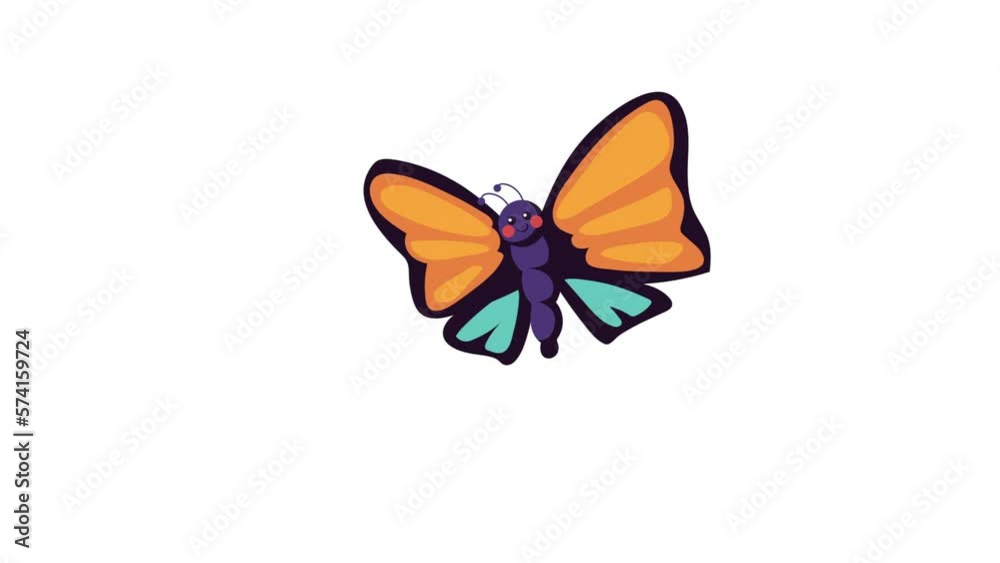 beauty butterfly insect flying animation