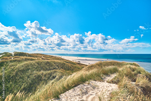 vast dunes at the coast of denmark. High quality photo