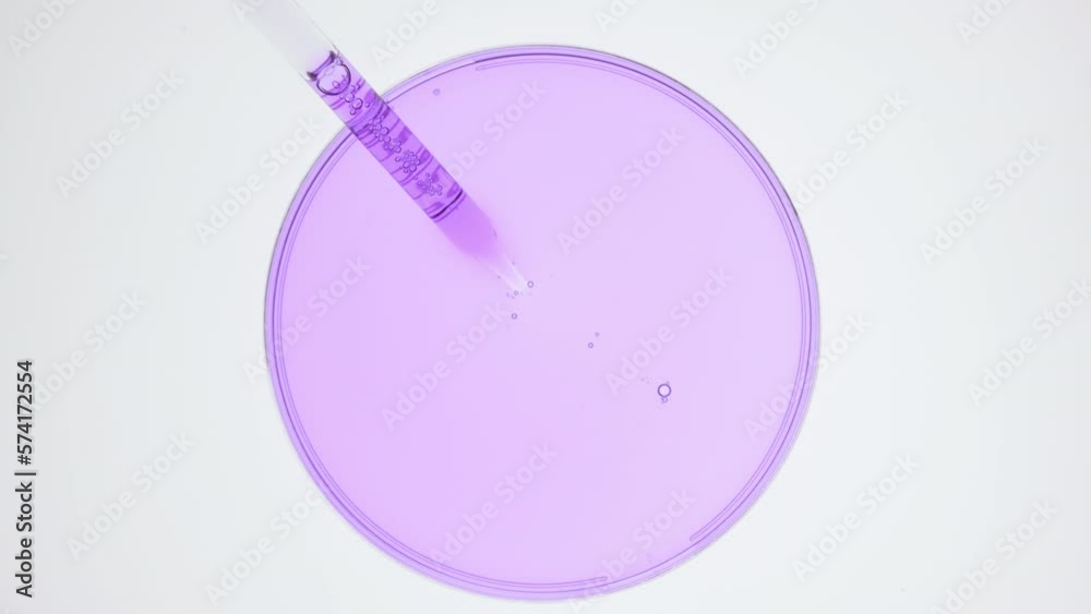 Abstract face care cosmetics formulation concept | Top view extreme close-up shot of lab dropper takes purple liquid from watch glass round and drips it back on grey background