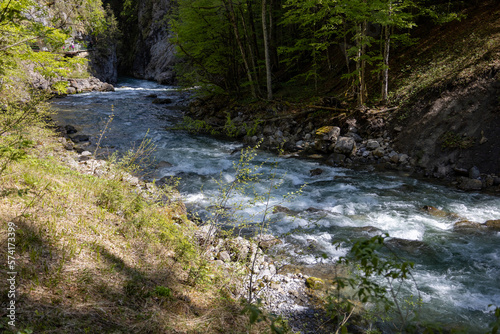 Gebirgsfluss in den Alpen von Wald umgeben 