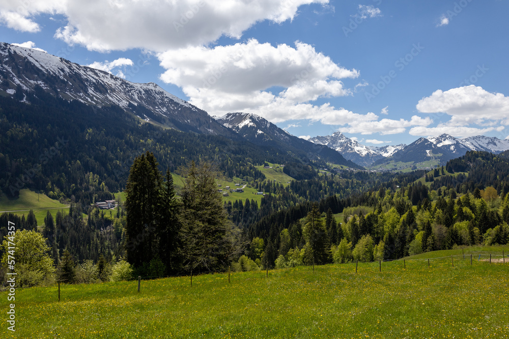 Wunderschönes Alpenpanorama mit Bergen und Wald