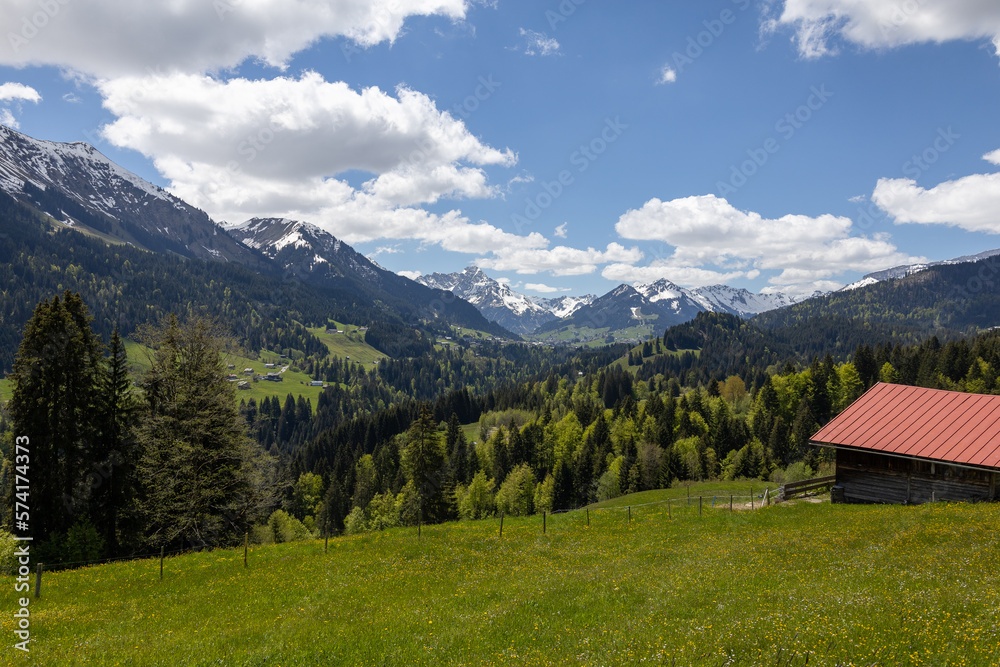 Wunderschönes Alpenpanorama mit Bergen und Wald Wunderschönes Alpenpanorama mit Bergen und Wald