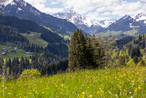 Wundersch  nes Alpenpanorama mit Bergen und Wald
