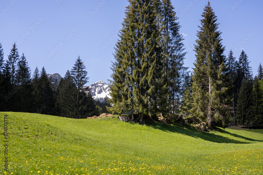 Wunderschönes Bergpanorama mit Schnee in den Alpen