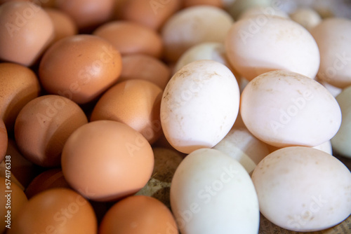 Brown and White Eggs