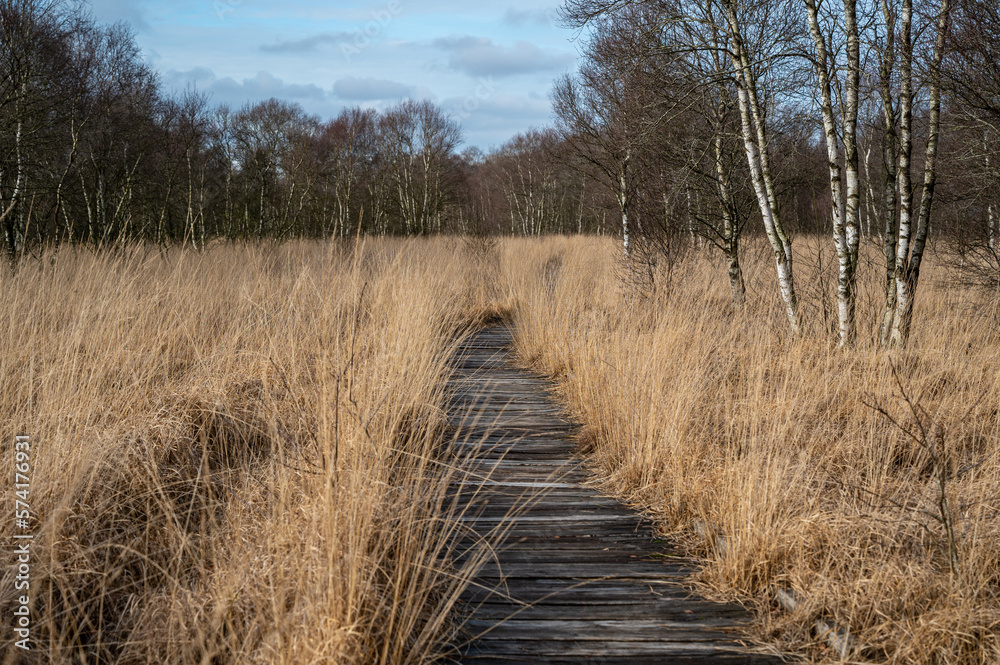 Fototapeta premium Wooden plank path through a peat bog