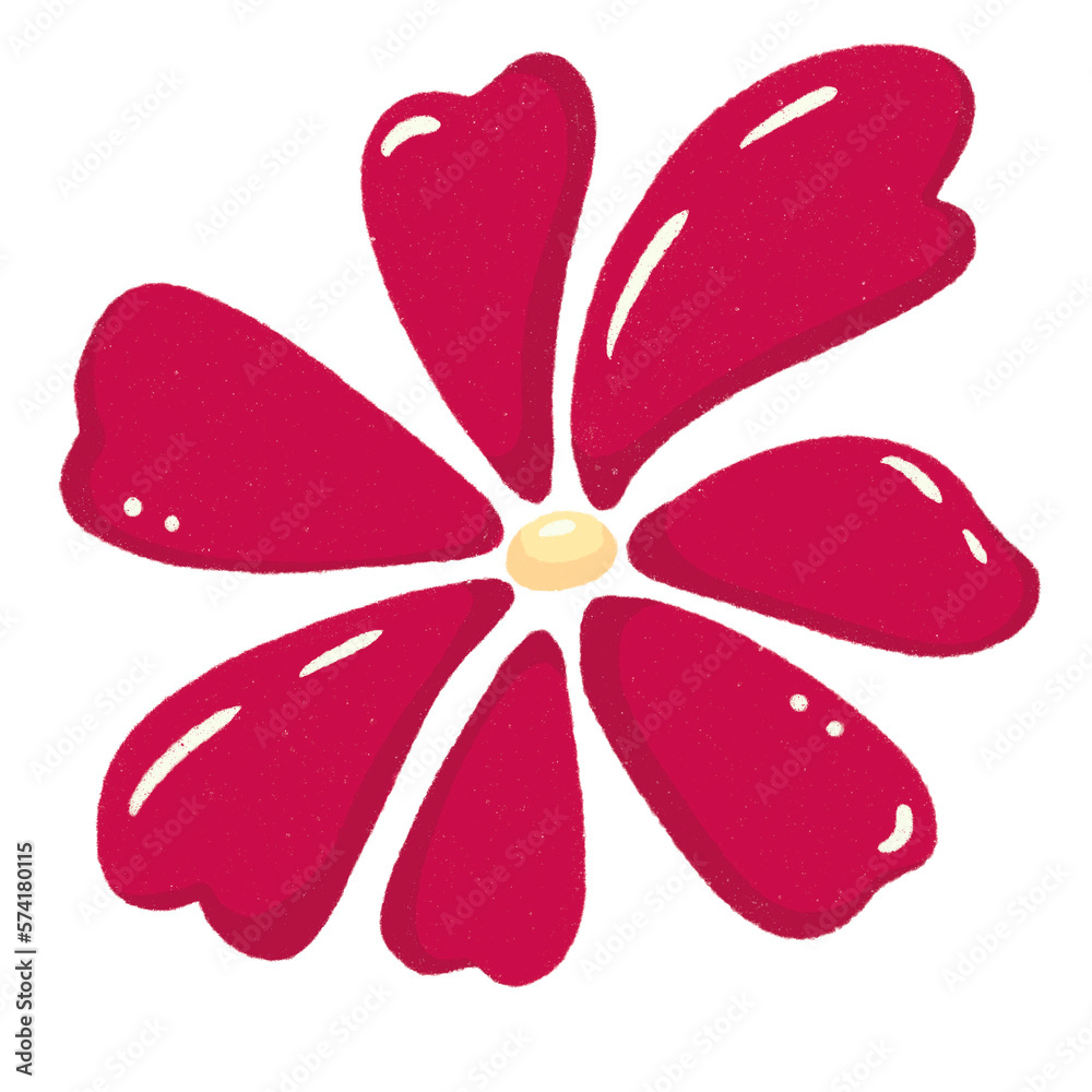 Red Daisy isolated on transparent background Red Daisy isolated on transparent background