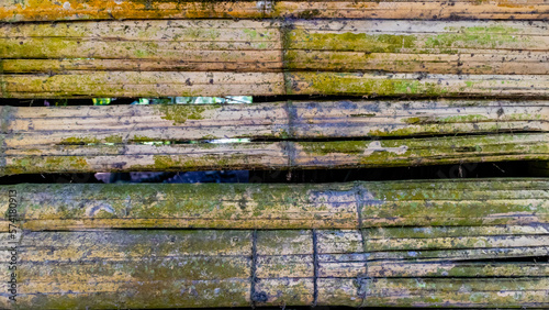 Wallpaper Mural mossy bamboo wall texture as a background Torontodigital.ca