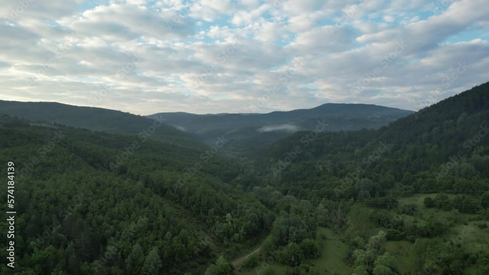 Our oxygen source world, drone view of coniferous forests, let's protect my green lands, let's not destroy forests Our oxygen source world, drone view of coniferous forests, let's protect my green lands, let's not destroy forests