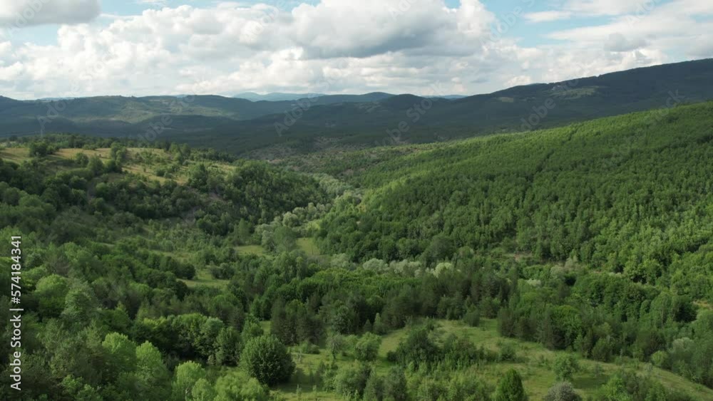 Aerial Coniferous Forest and Cloudy Sky Aerial Coniferous Forest and Cloudy Sky