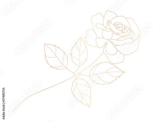 Rose flower gold line art