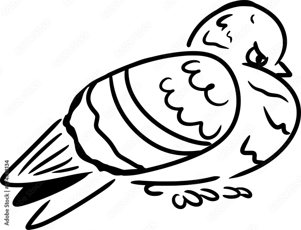 Vector drawing of a pigeon, dove. Sketch, contour,silhouette,flat,black and white.In cartoon style, hand drawn, doodle, isolated. Silly, cute, funny. Birds, animal, city, character, emotion Vector drawing of a pigeon, dove. Sketch, contour,silhouette,flat,black and white.In cartoon style, hand drawn, doodle, isolated. Silly, cute, funny. Birds, animal, city, character, emotion
