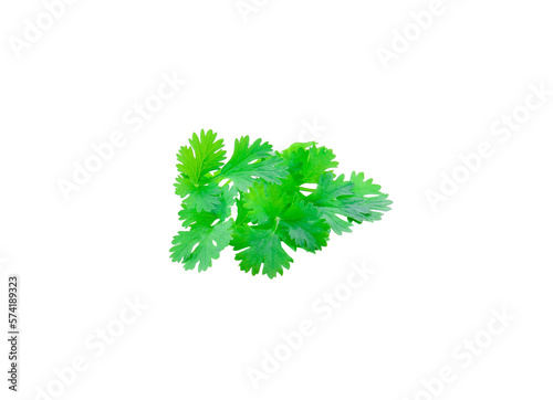 fresh green parsley leaves isolated on transparent png