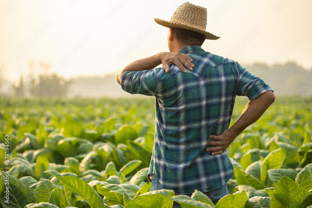 Injuries or Illnesses, that can happen to farmers while working. Man is using his hand to cover over waist because of hurt,  pain or feeling ill.