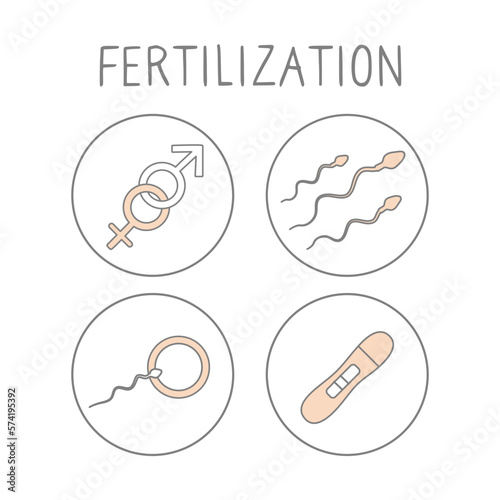 Fertilization icon set. Linear simple illustration pregnancy and childbirth. Motherhood signs. Vector