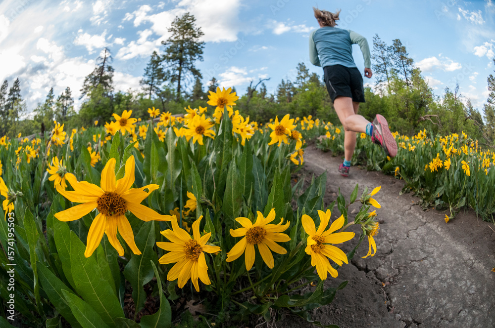 A woman trail running past flowers near Durango, Colorado. A woman trail running past flowers near Durango, Colorado.