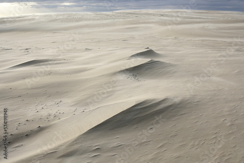 mooving dunes in the Slowinski National Park, Lebsko Lake, Pomerania, Poland