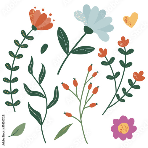 A set of twigs and flowers for decoration. Vector illustration of stylized plants in cartoon style. Isolated on a white background.
