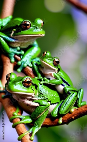 Group of family frog hanging on tree branch, created with Generative AI technology 
