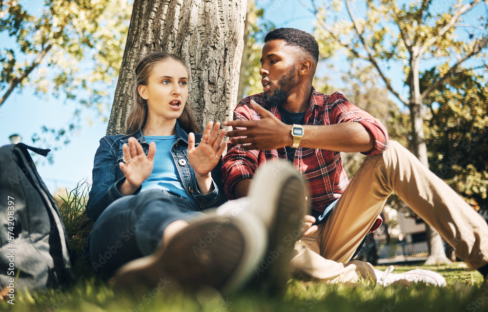 Interracial couple, fight and outdoor with upset young people angry on  summer holiday. Conversation, conflict and break up discussion of a woman  and man sitting by tree together talking about problem foto