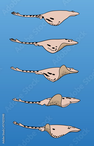 stingray's move sequence