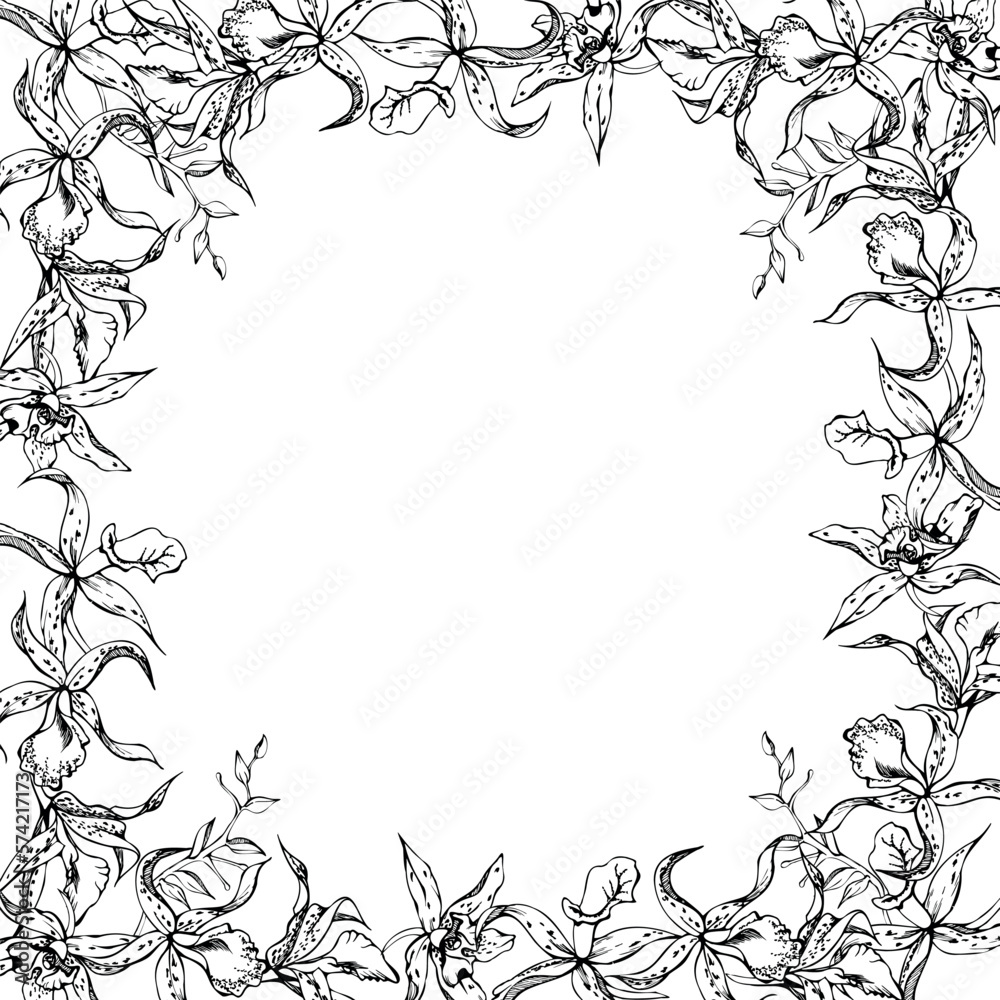 Hand drawn vector ink orchid flowers and branches, monochrome, detailed outline. Horizontal frame composition. Isolated on white background. Design for wall art, wedding, print, tattoo, cover, card.