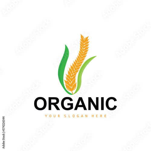 Wheat Rice Logo, Agricultural Organic Plants Vector, Luxury Design Golden Bakery Ingredients