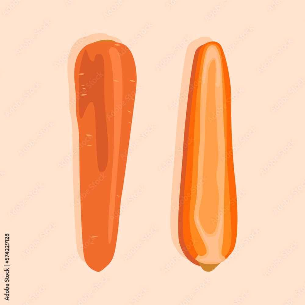 Carrots whole and half. Vector graphics. A set of icons on the theme of healthy food. Diet food. Carrots whole and half. Vector graphics. A set of icons on the theme of healthy food. Diet food.