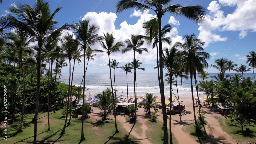 Aerial view of Itacaré beach, Bahia, Brazil. Beautiful coconut and palm trees with the beach in the background Aerial view of Itacaré beach, Bahia, Brazil. Beautiful coconut and palm trees with the beach in the background