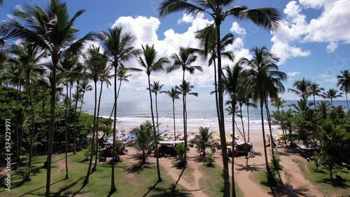 Wallpaper Mural Aerial view of Itacaré beach, Bahia, Brazil. Beautiful coconut and palm trees with the beach in the background Torontodigital.ca