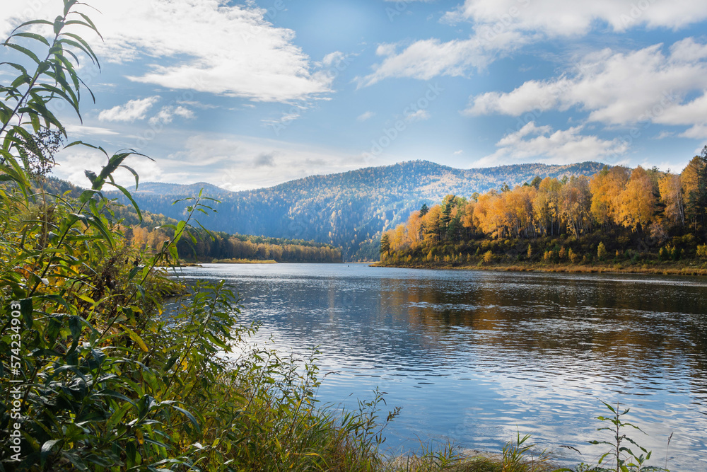 Trees with yellow leaves on the banks of a river in the mountains in a natural park. Beautiful autumn landscape