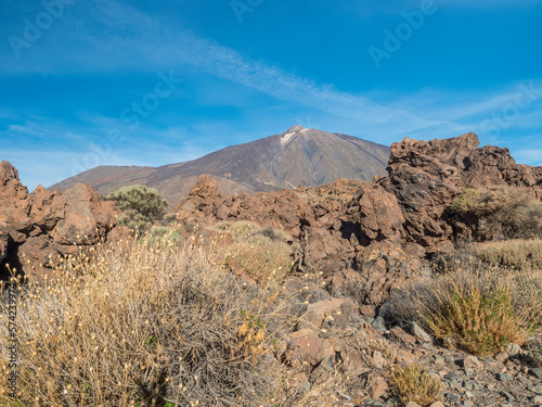 Dry flowers, grass and bushes with view on colorful volcano pico del teide highest spanish mountain in Tenerife Canary island with clear blue sky background. Horizontal, copy space