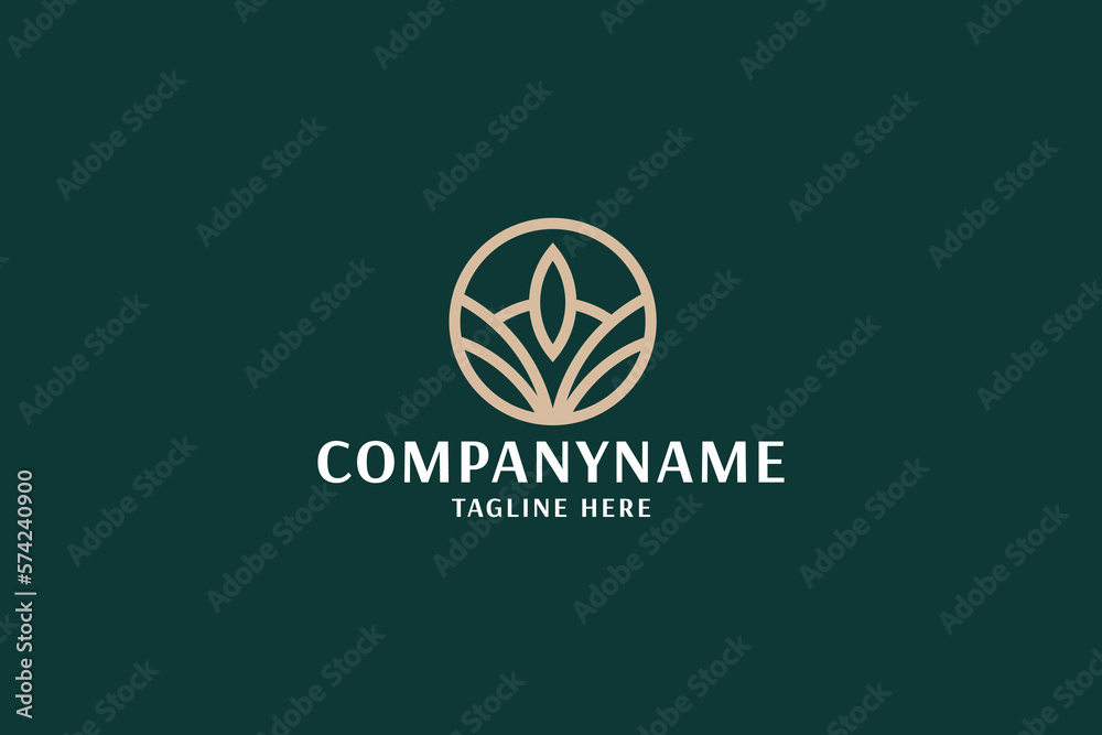 Body Care Pro Logo Template
Body Care Pro Logo Template