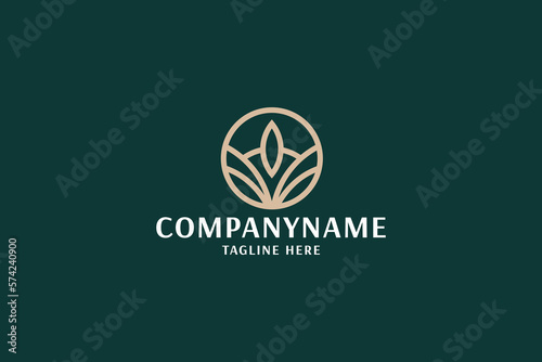 Body Care Pro Logo Template

