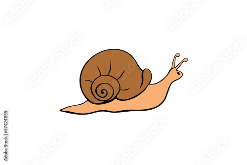 Vector color cute snail in flat style with spiral shell, side view, isolated. Natural element design, clip art, template