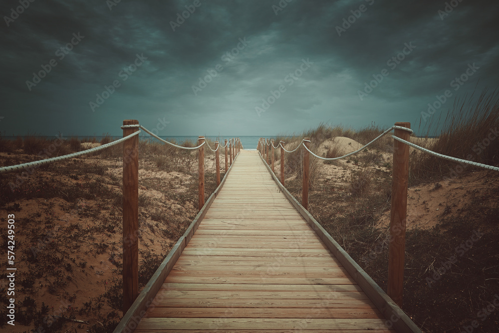 Pathway on a wild dune beach