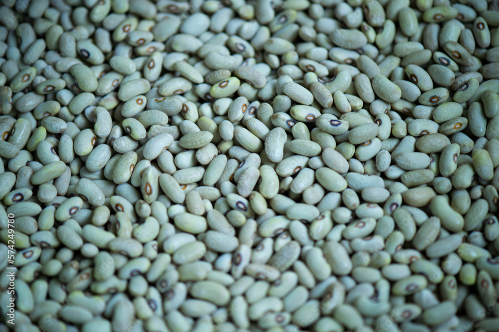 Beans of solid color close-up Beans of solid color close-up